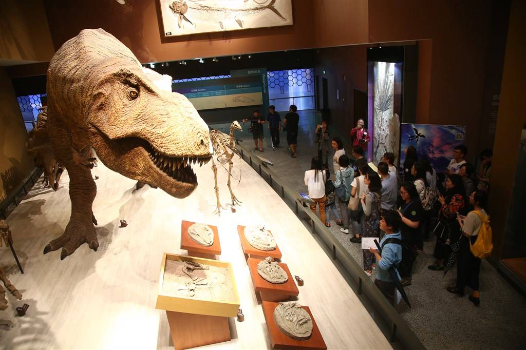 风靡的博物馆奇妙夜:市民期盼更"奇妙",夜场还需另辟蹊径_活动_世博会