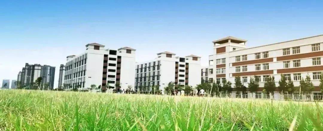 惠州市光正实验学校2023年8月教师招聘