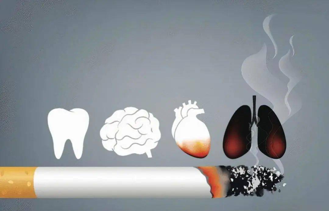 戒烟后,肺还能变"干净"吗?患癌几率能下降吗?