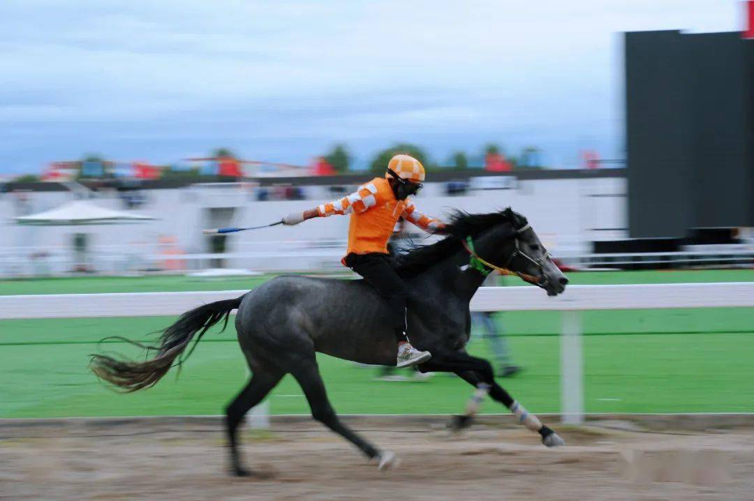 组图|纵马驰骋金银滩 飒爽英姿引喝彩_海北_梦幻_青海