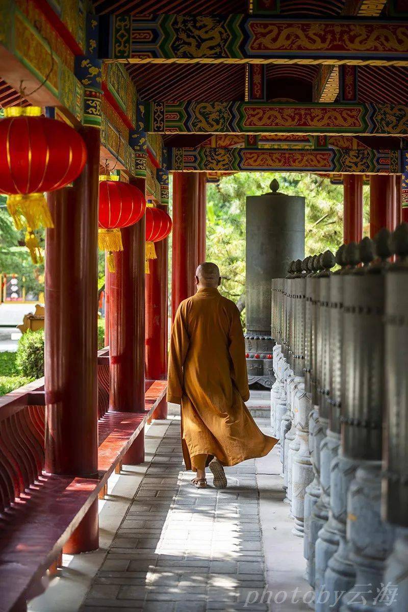 【漫行潍坊】金泉寺,金宝佛教文化园