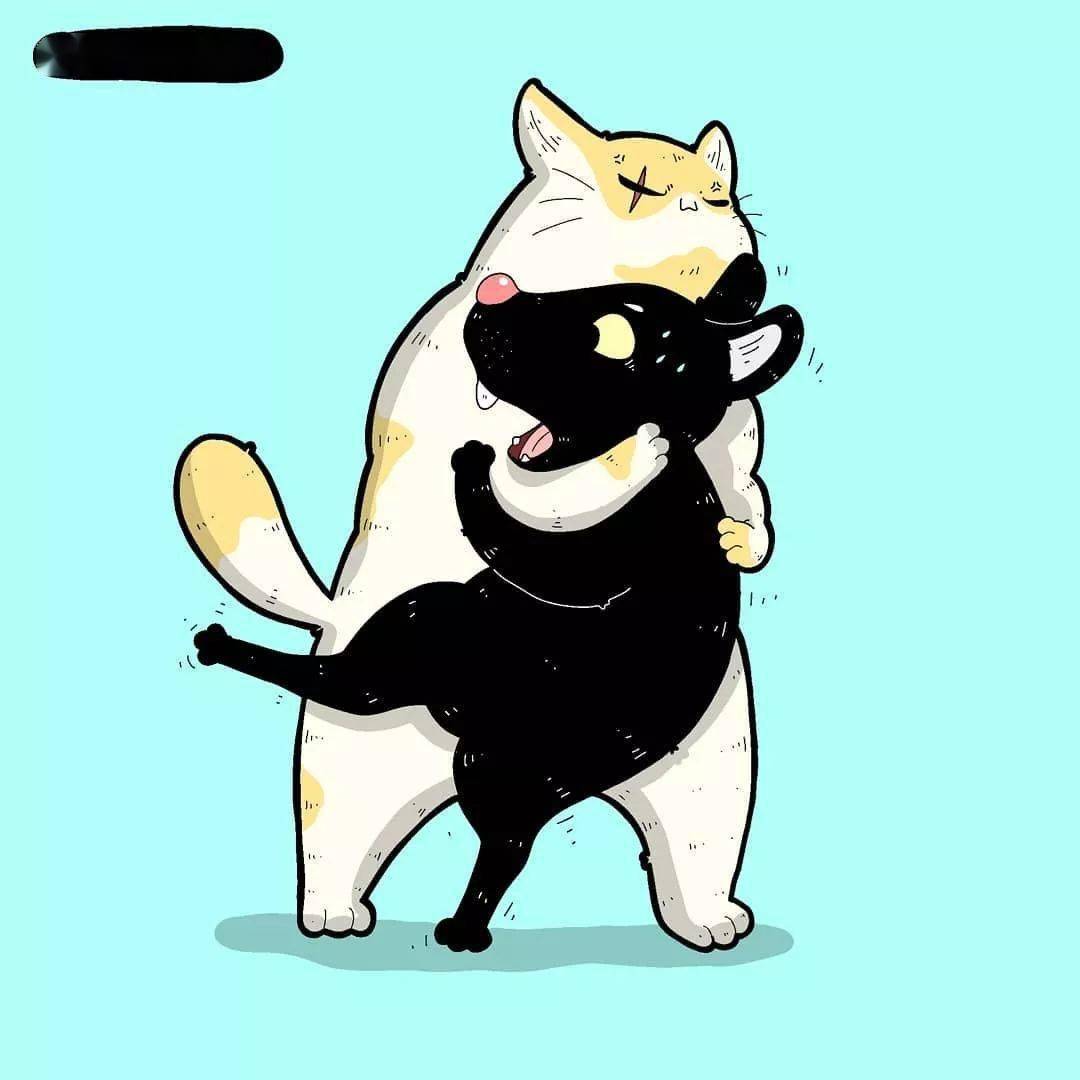 沙雕逗比的猫咪插画,每一张都让你笑到肚子疼!_santoso_rocky_作品