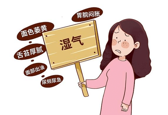 【友谊科普】"湿气重,百病生",中医祛湿一身轻_舌苔_体重_正气