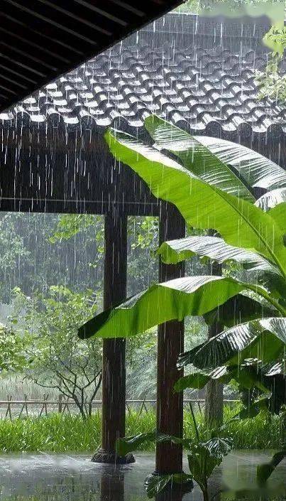 汪曾祺 昆明的雨