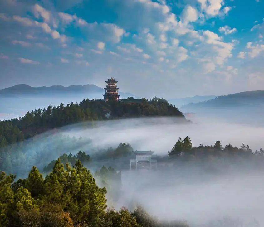 全球学子嘉游赣 | 凤凰湖:漫步"城市后花园"趣玩一夏_德兴市_江西