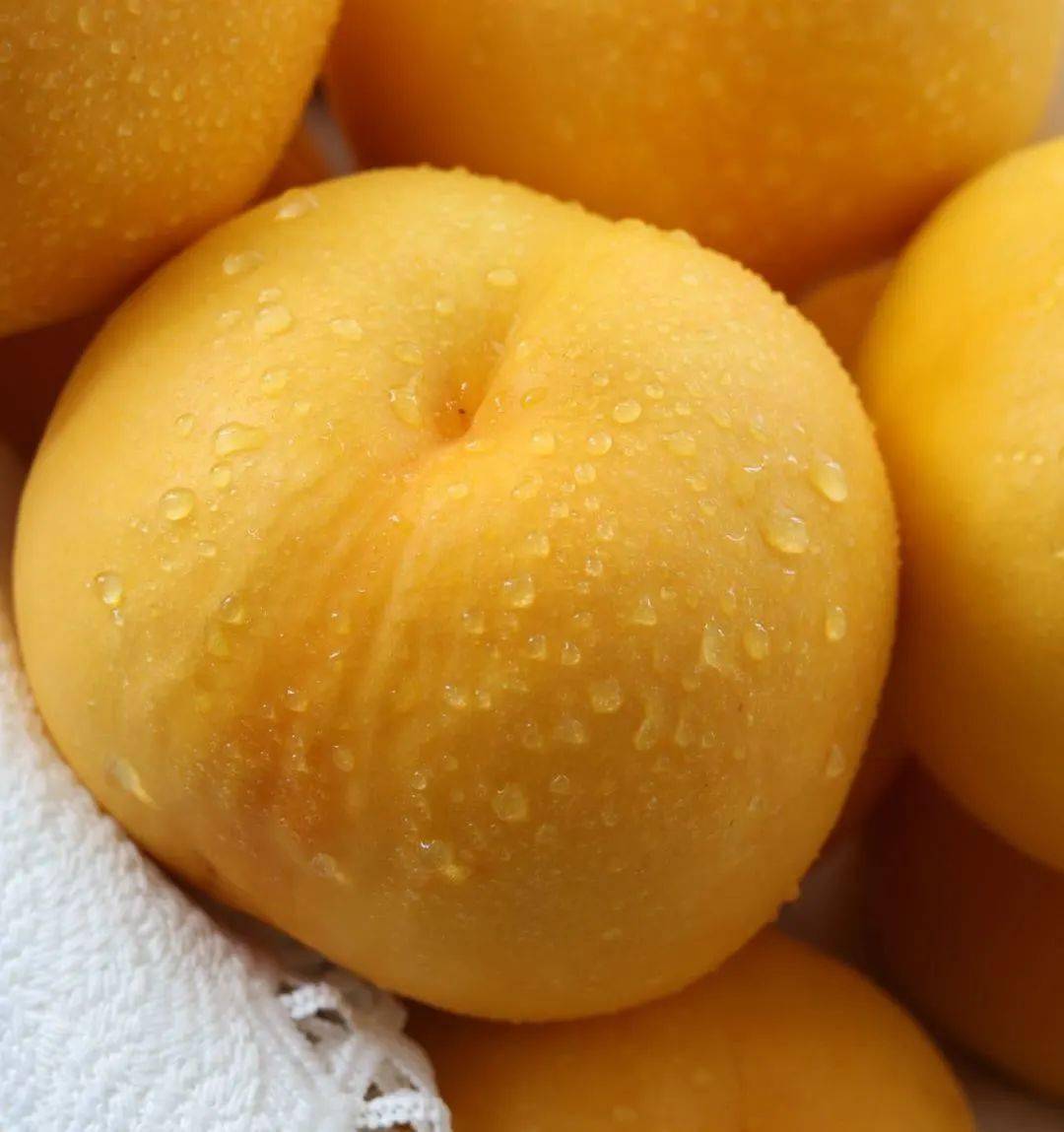 网红芒果油桃你试过了吗!