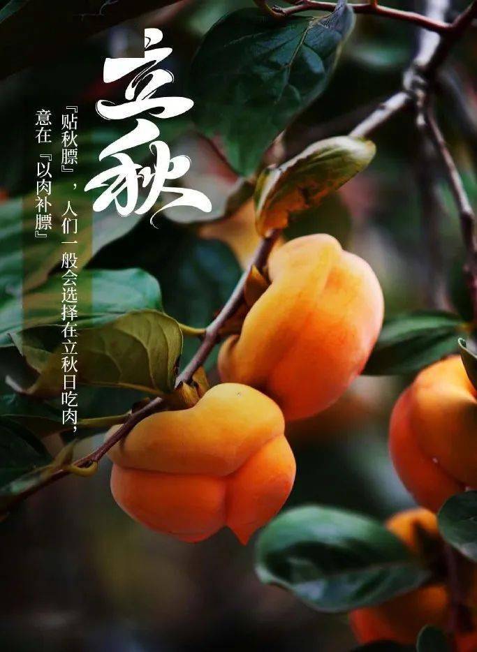 第7号台风已生成,瑞安要凉快了吗?_雷雨_多云_阵雨