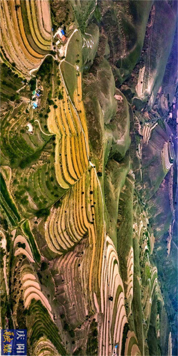 【美图庆阳】盛夏环县景旖旎_李富昌_陈贵明_时节