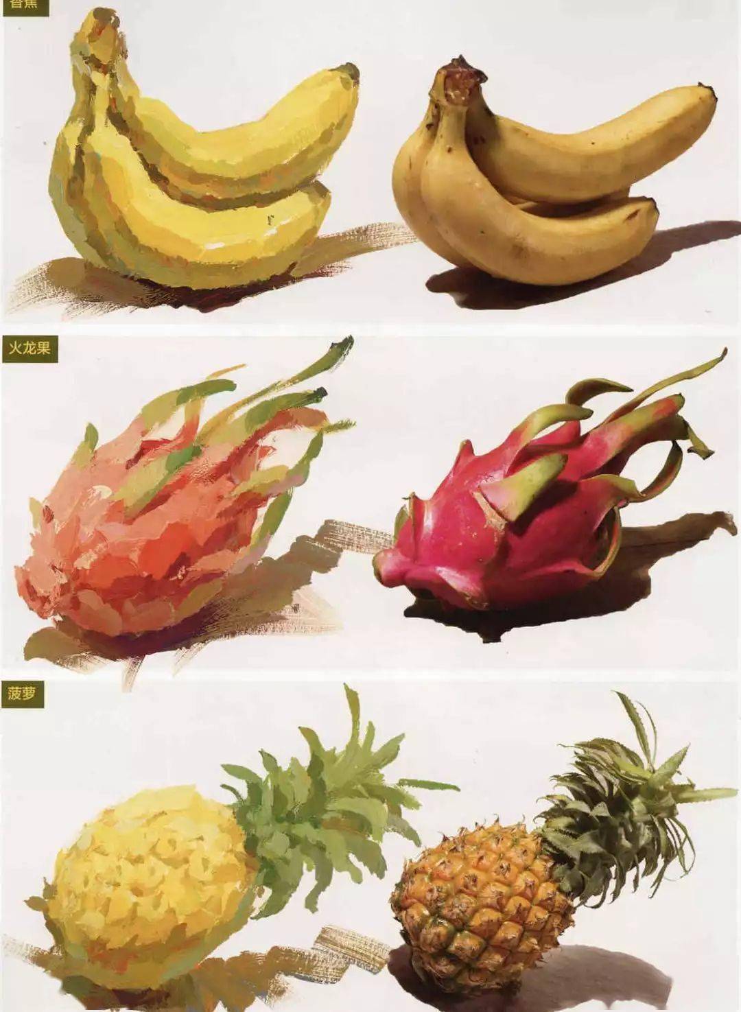 美术干货 | 考前必集齐的色彩单体,临摹起来!