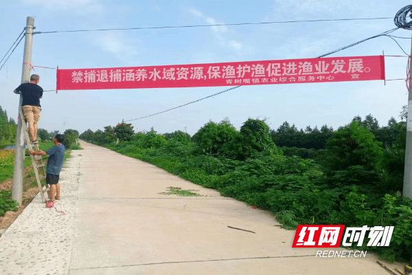 南县青树嘴镇开展长江流域十年禁渔宣传活动