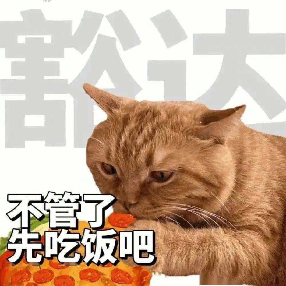 话又说回来表情包-千图网