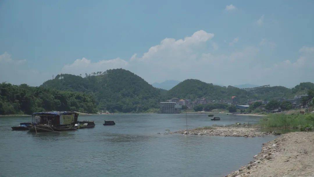 为全面提升贺州市贺江信都段水生态环境品质,结合区委,区人民政府关于