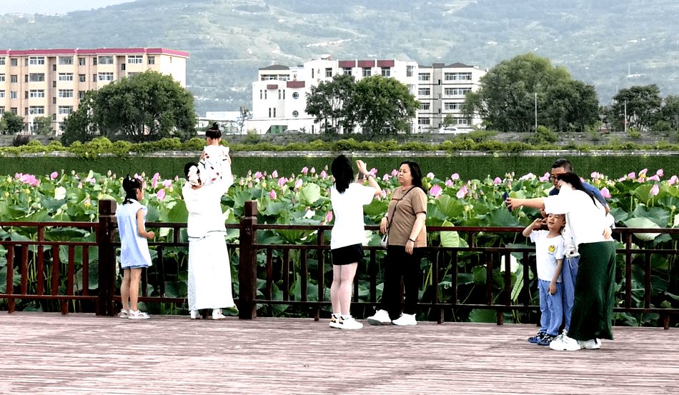 麦积区翠湖公园简介图片