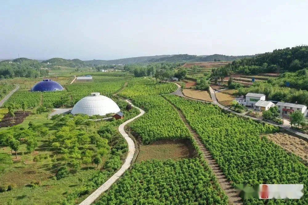 襄阳杏花村度假山庄图片