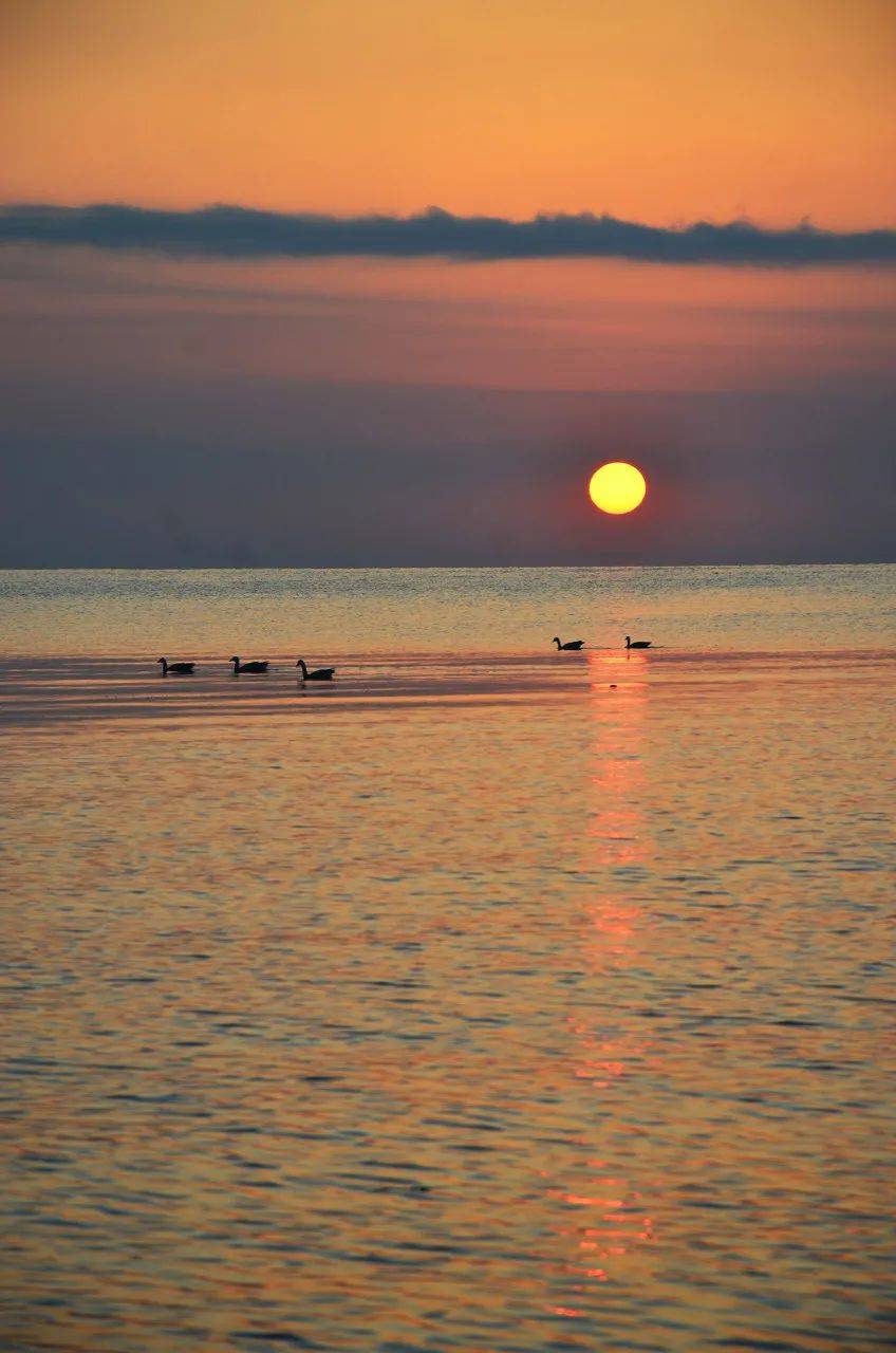 十分震撼一半蓝色一半碧色是西台吉乃尔(双色湖)蓝绿双色山体奇特地
