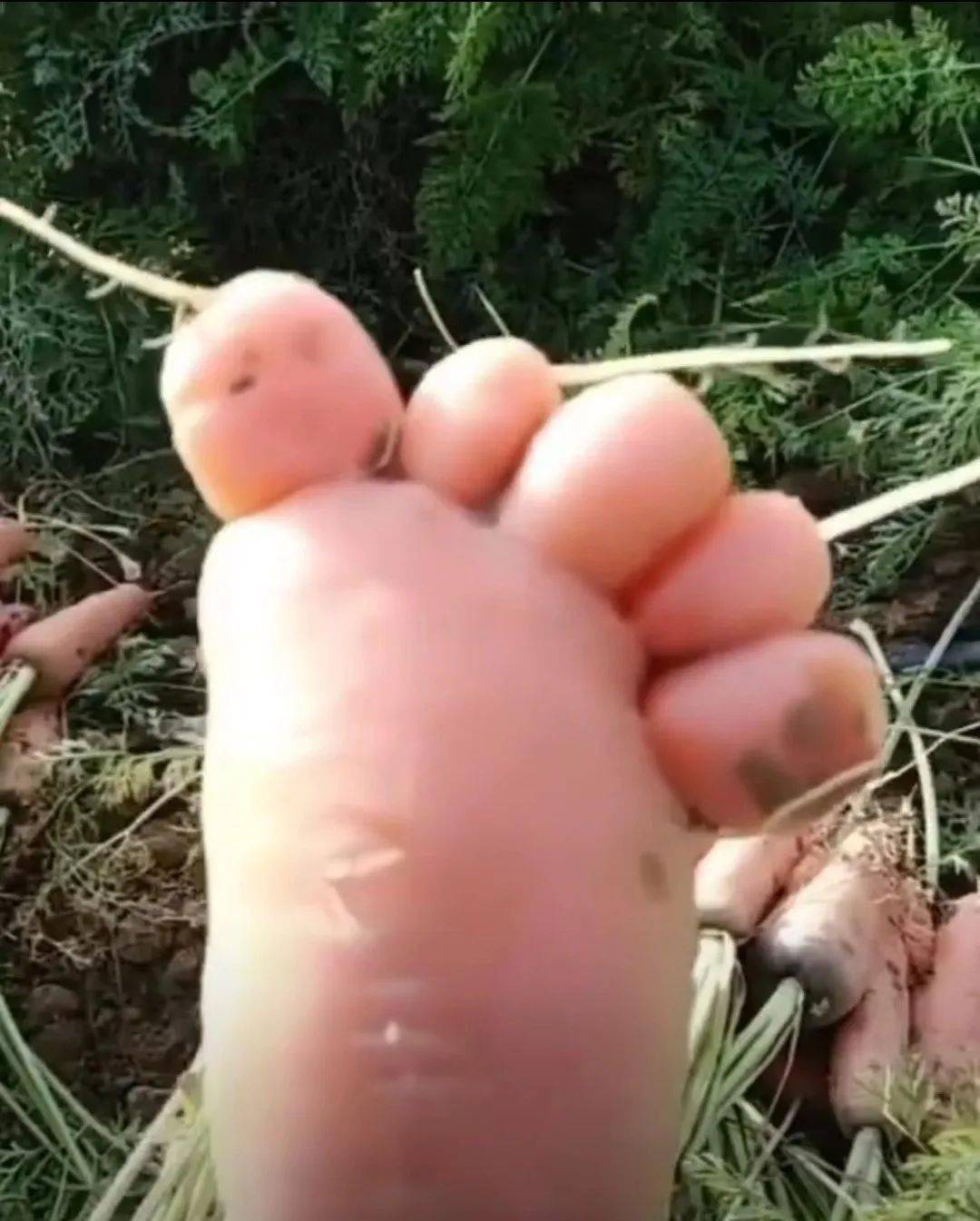 恋足 恋足癖是如何产生的_研究_女性_时期
