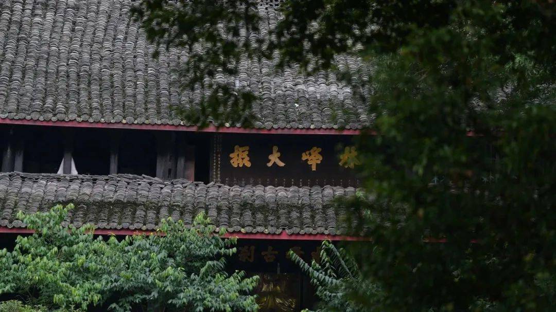 轻松徒步峨眉山!一天就能走完的免费登山路线来啦!_纯阳殿_武术_圣水