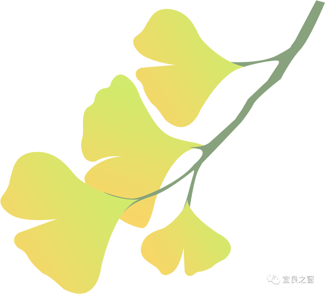 宜良狗街小哨举办第十一届干巴菌节暨十七届彝族火把节_社区_林地