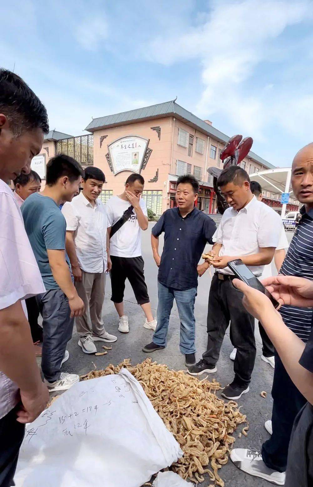 "金寨县古碑镇居民李勇是天麻收购商,每月的天麻集市,都能看到他大袋