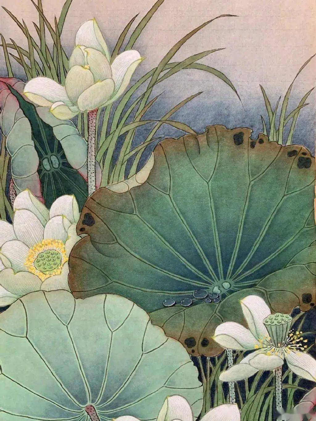 影帝夏雨晒出他的书法和工笔画,原来演戏只是他的业余爱好_线条_专业