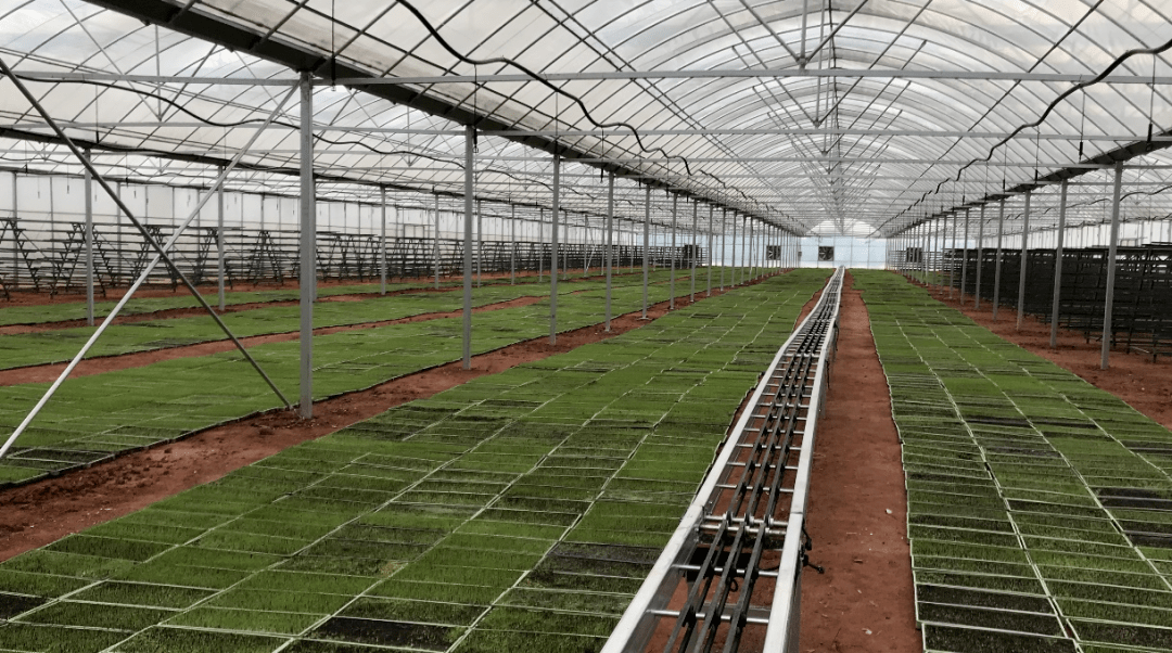 上饶市:加快推进育秧中心和农事服务中心建设工作全面达标_机械化