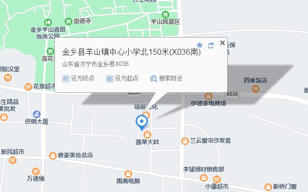 金乡县羊山镇地图图片