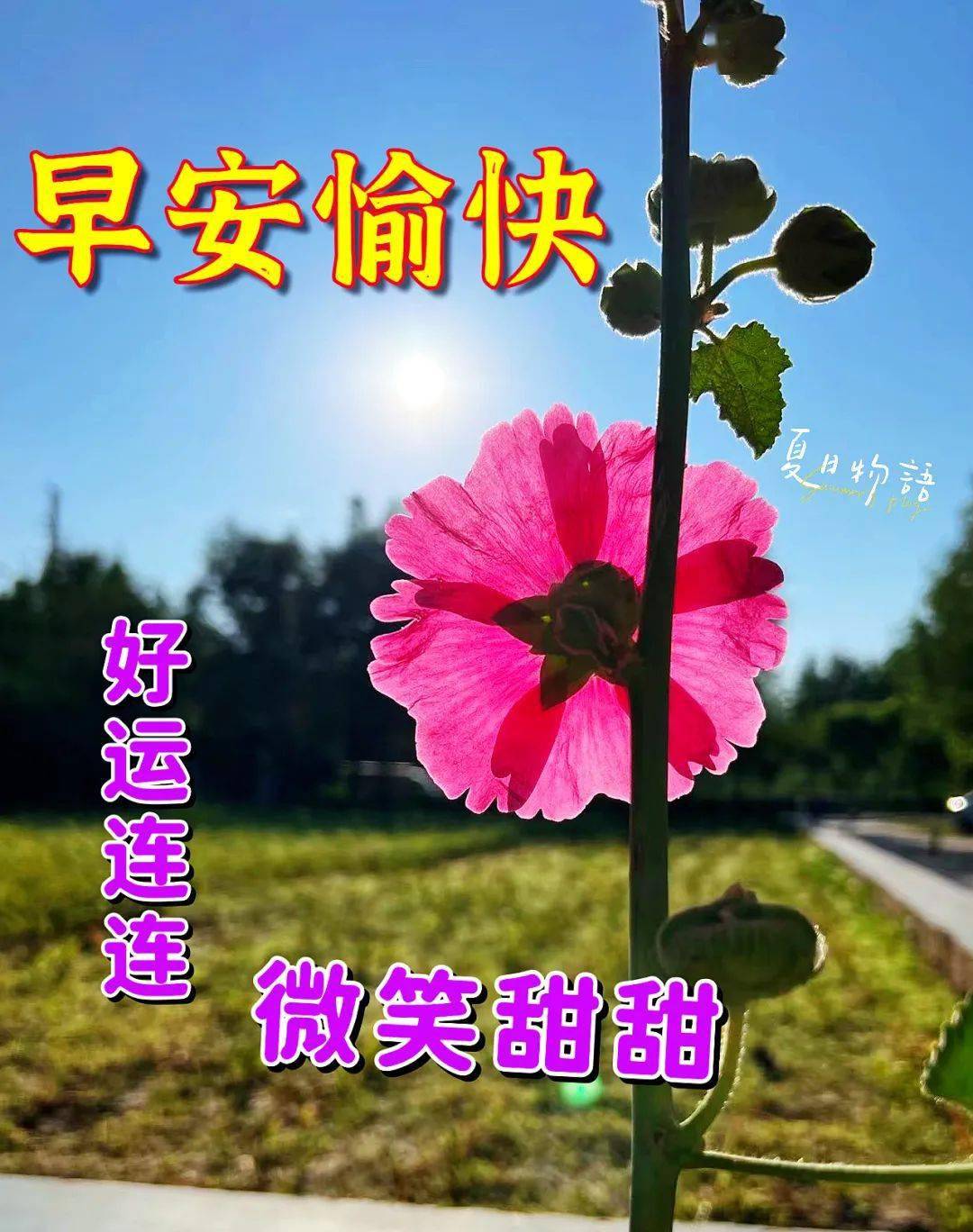 早上好,精选早安暖心祝福图片带字早上好问候语_天都_人生_阳光