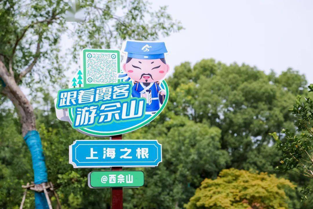 夏日漫步松江,一路风景美如画!_上海_文化_植物园