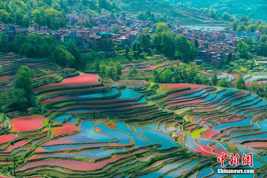 20世纪80年代经一些摄影家的介绍,红河哈尼梯田开始名扬世界,世界各地