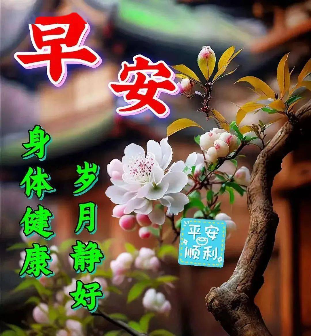 早上好,精选早安暖心祝福图片带字早上好问候语_天都_人生_阳光
