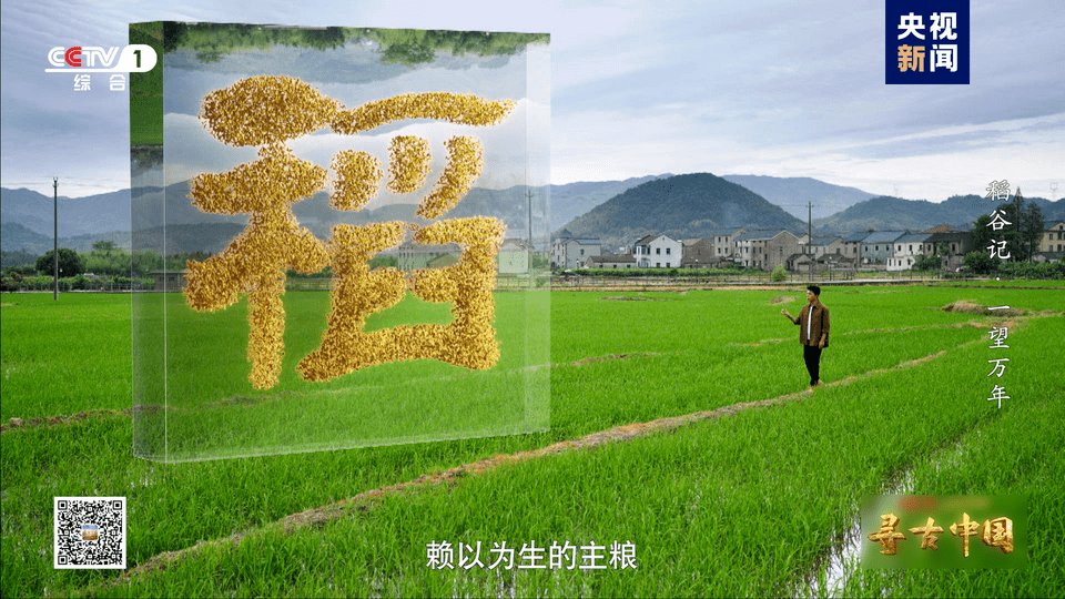 “水稻”探秘稻作文明《寻古中国·稻谷记》开播