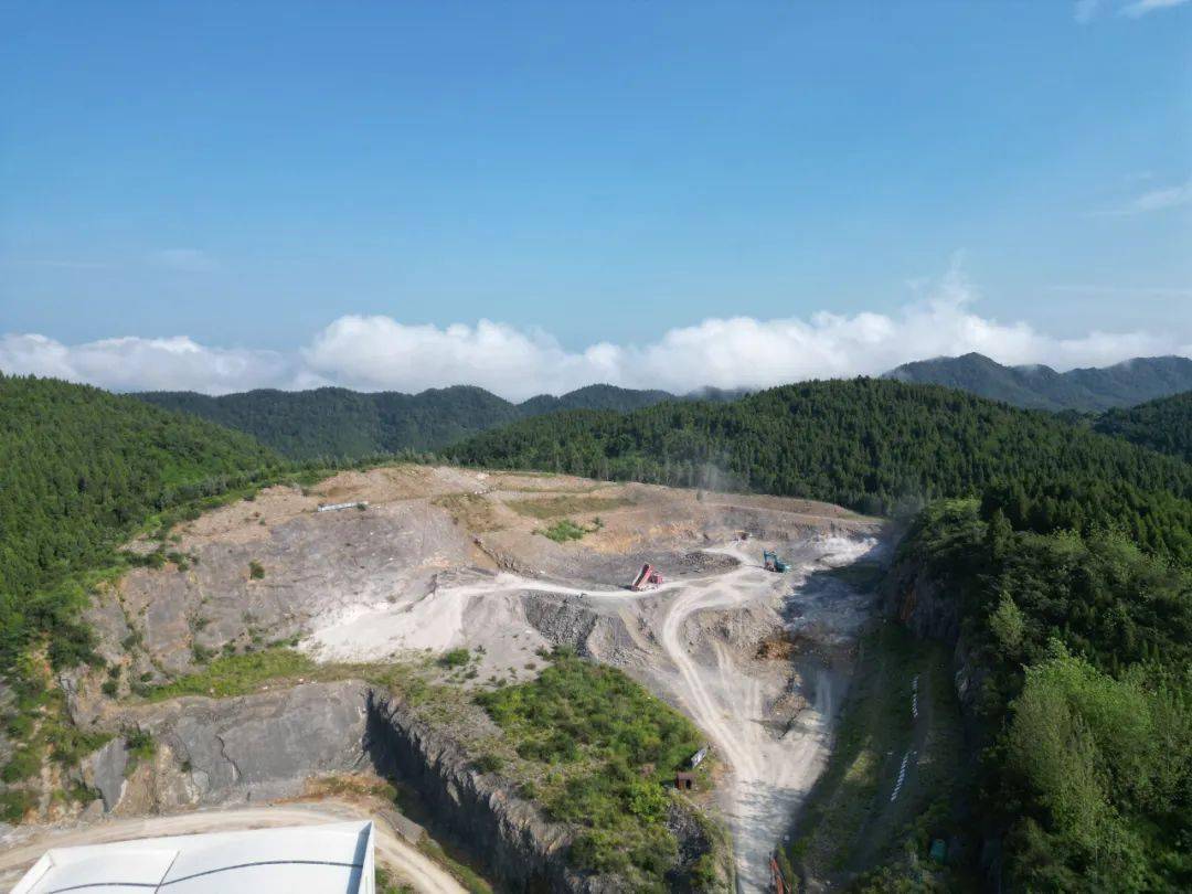 敢闯敢干 唯实争先 | 珍溪镇:以精准服务推动工业高质量发展_企业_该