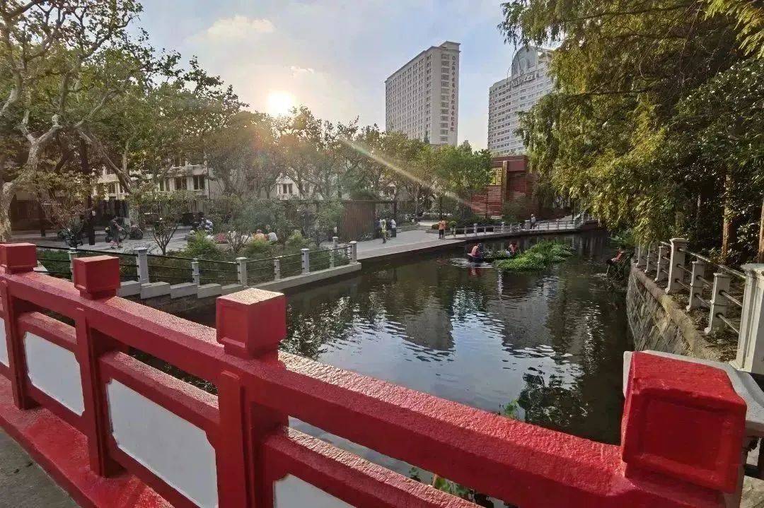 绿色美景自然天成,科技赋能低碳生活……普陀曹杨街道把"绿色"刻进"