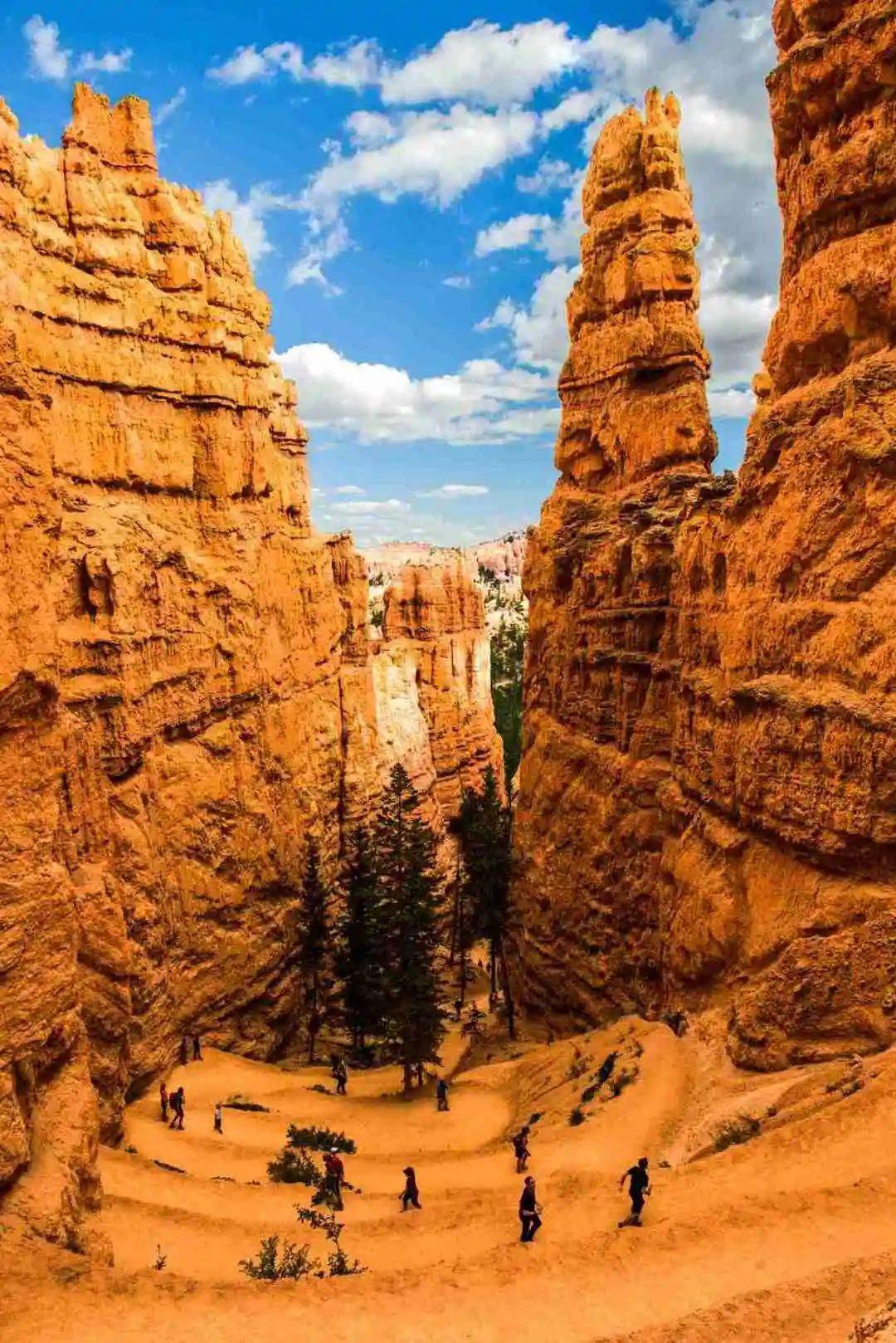 【线路推荐】美国67 61 亲临黄石国家公园,发现壮观的自然奇迹