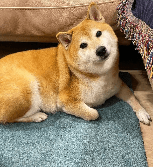 it之家注:balltze 因为 2017 年的一张生活照突然