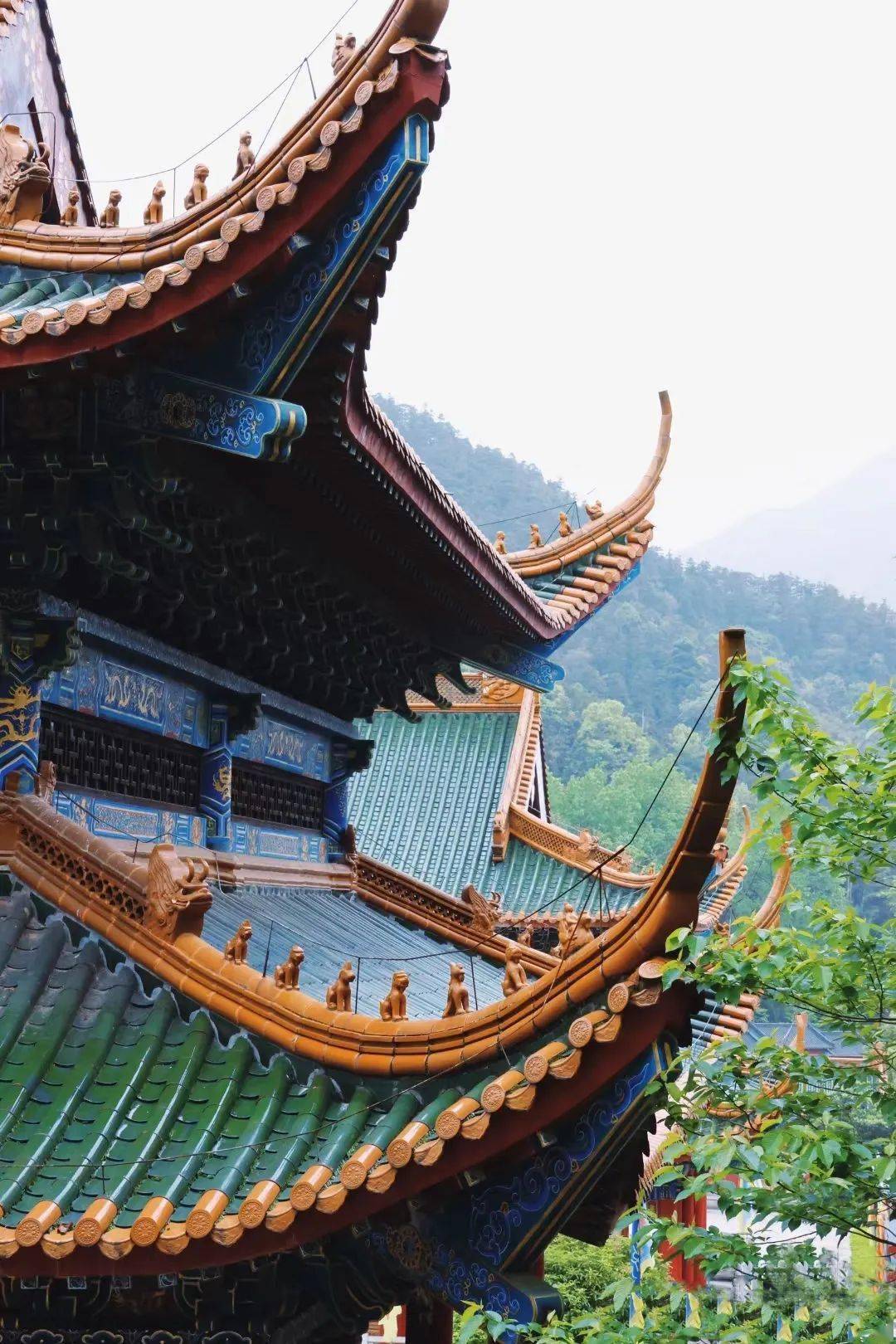 色如皂"而得名樟树阁皂山景区上午开始爬山之旅9:00咸淡可口香味诱人