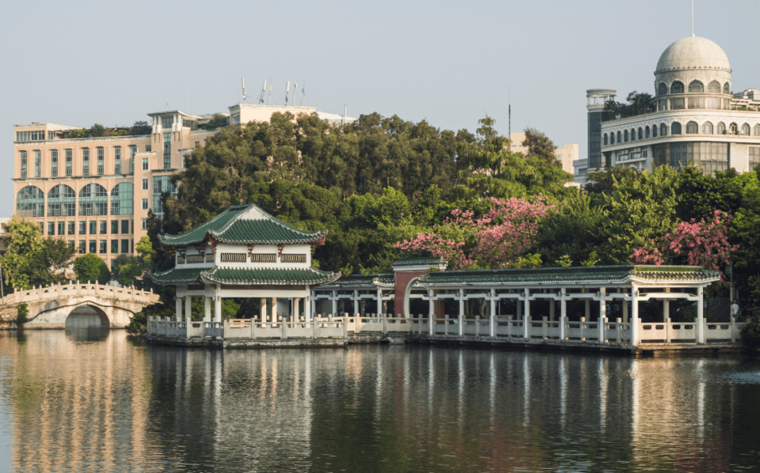 江门"宝藏公园"最新图鉴,第二弹来了!继续向快乐出发吧.
