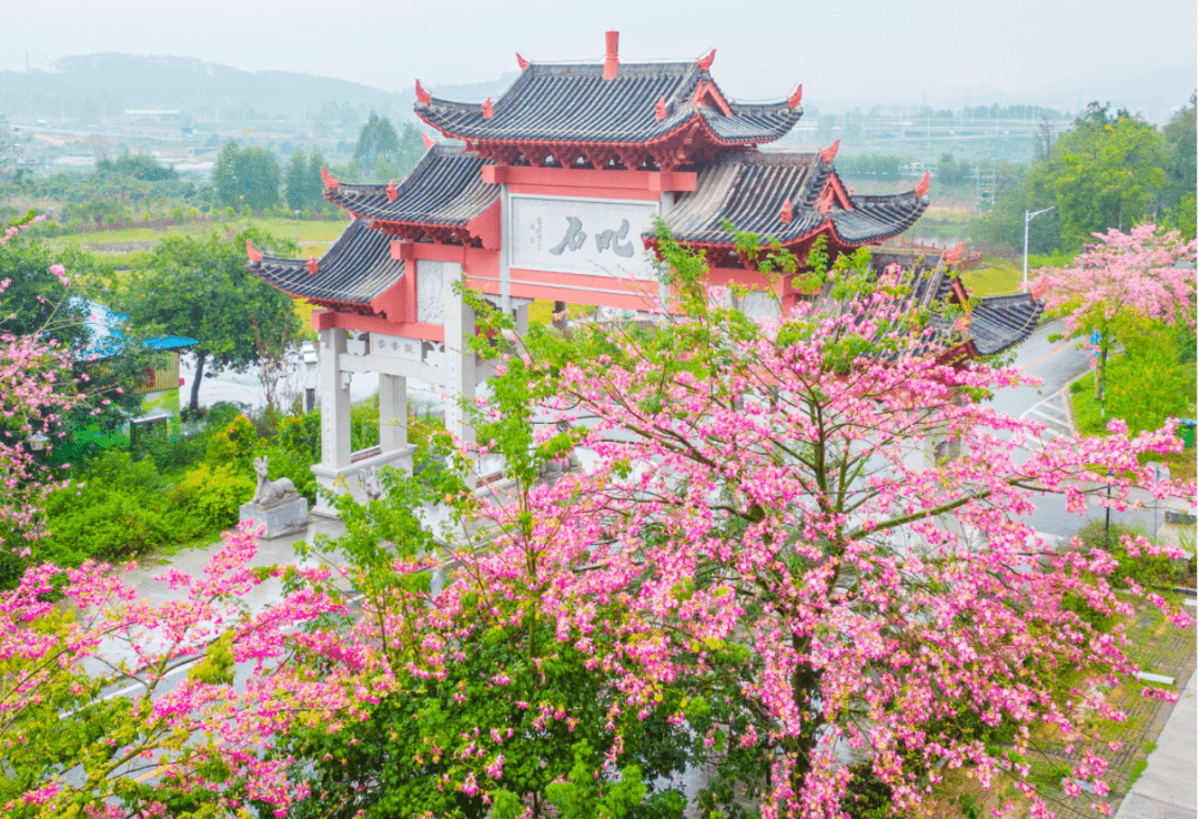 叱石风景区_风景区石碑图片_杜阮叱石风景区泉水