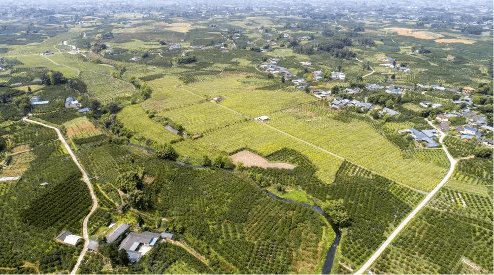 蒲江县大兴镇玉龙村:乡村旧貌换新颜 老村民返乡新村民落户_白泥_农田