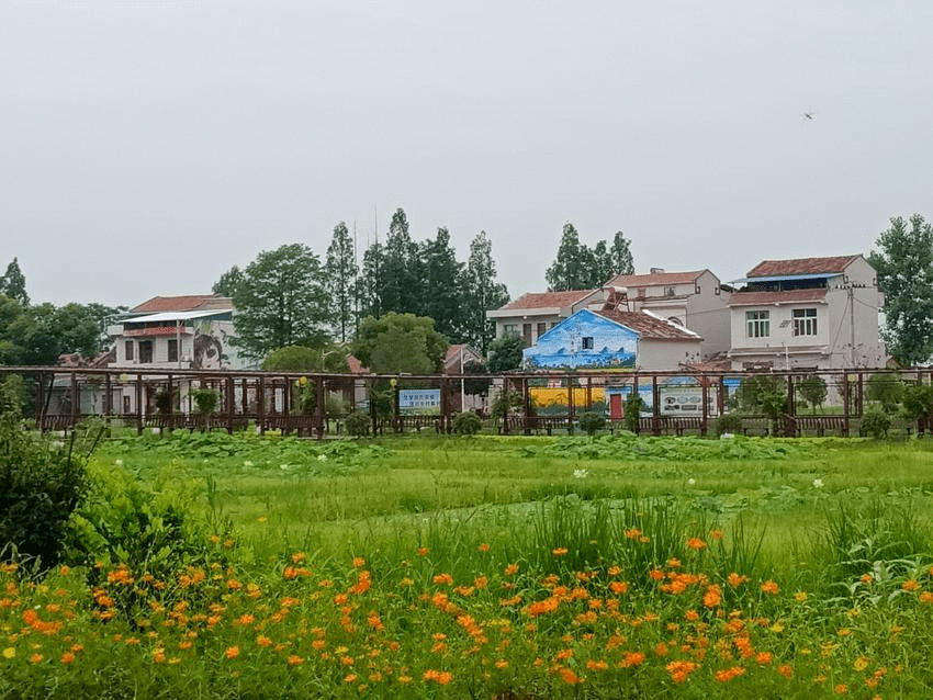 下辛店镇: 湖乡特色商旅小镇初见雏形_建设_梦南_镇区