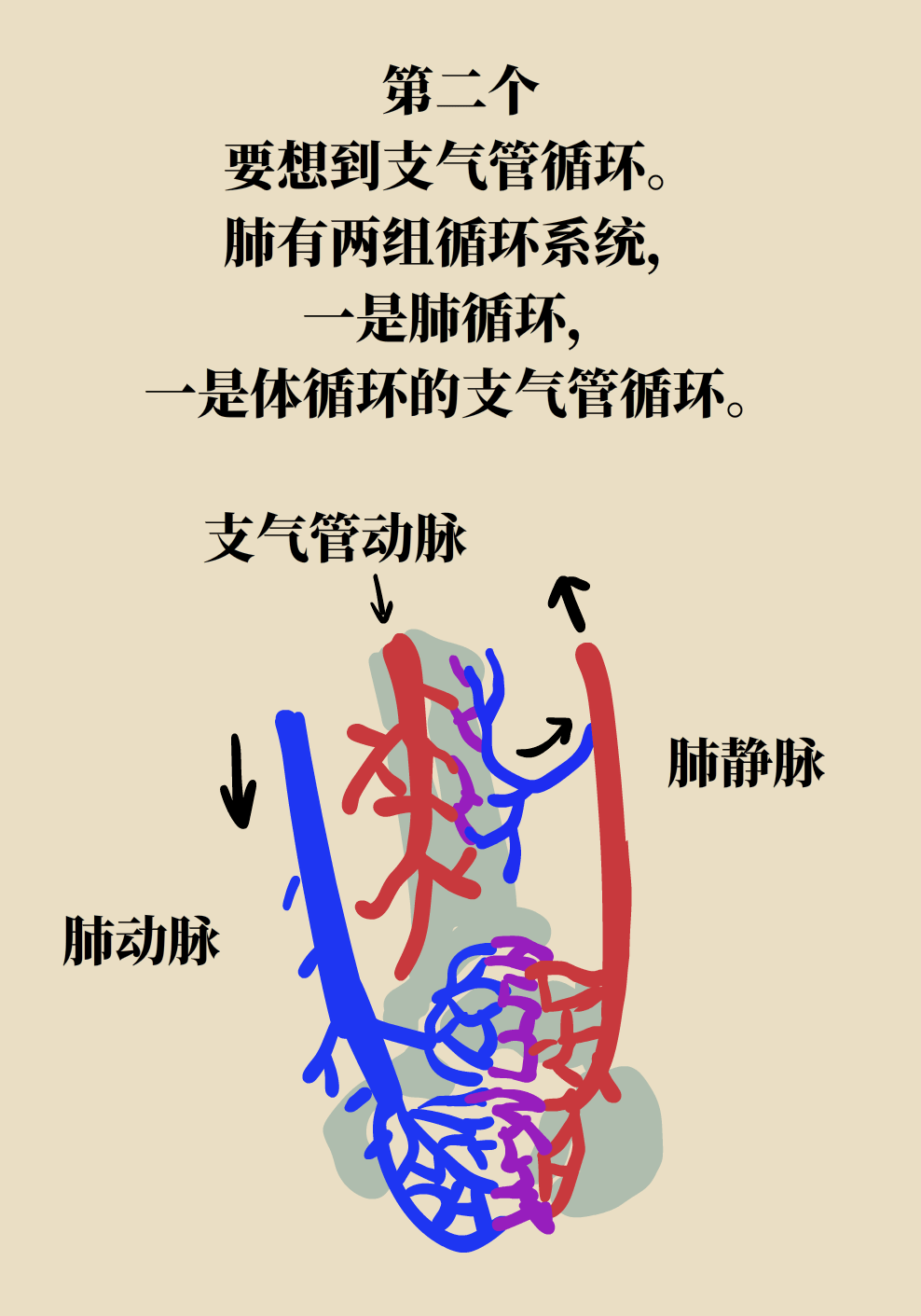 下水管回气管示意图图片