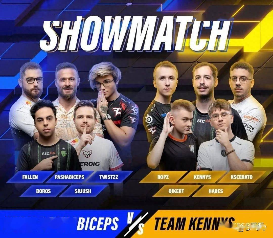 apeks,vp,9ine,furia,mibr,falcons(顺序按hltv世界排名)参赛战队100