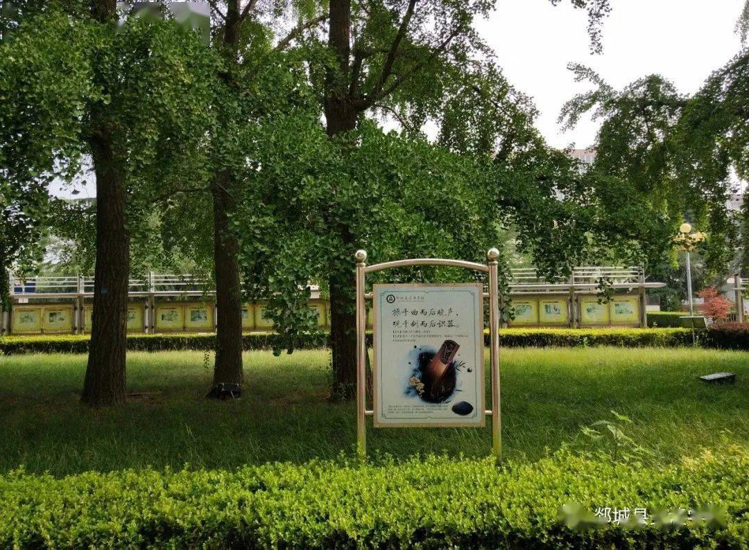 郯城县美澳学校高一新生报到及军训须知_教育_教学_工作