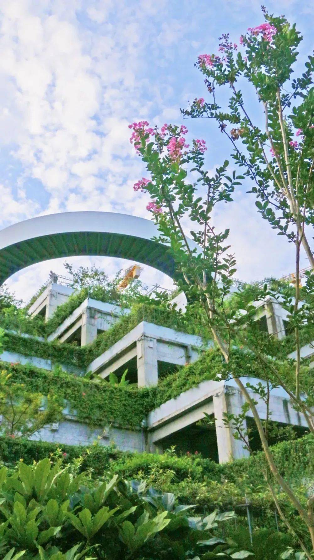 杨浦滨江天气晴好的日子跟着小编一起来上一场citywalk吧～心情肯定