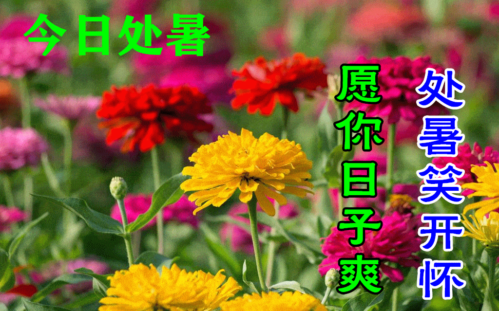 生活_问候_好运