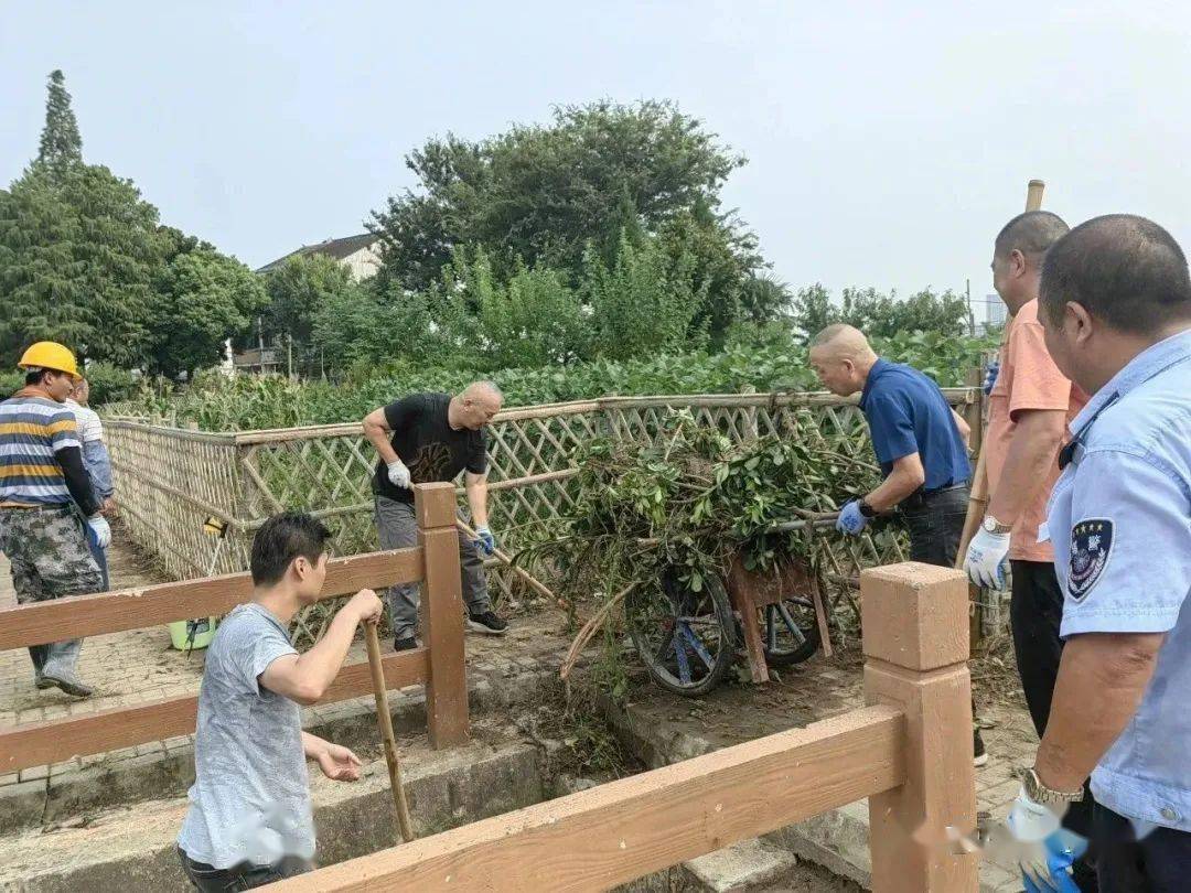 "三清三治"进行时|高效治理,构建共建共享幸福格局_张镇_整治_农村