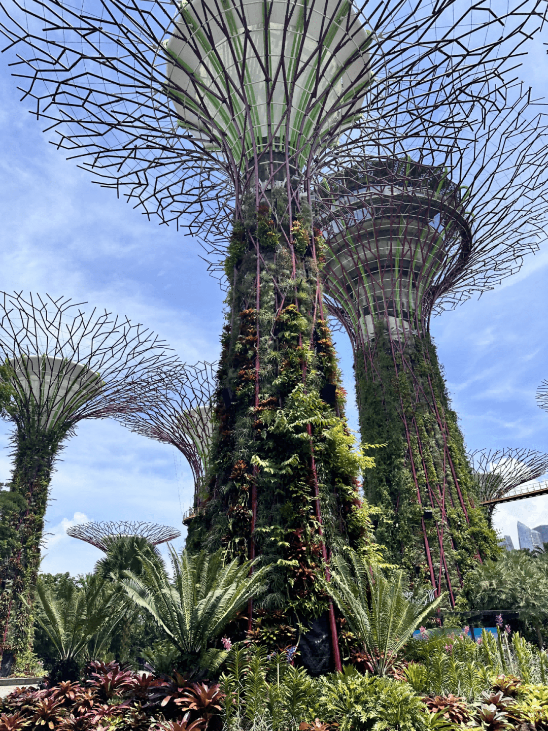 新加坡游学丨参观顶级学府,加入esl英语课堂,解锁狮城地标!