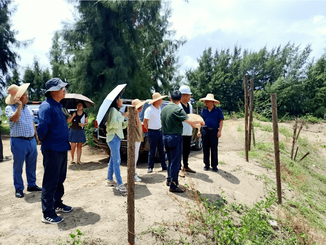 徐闻县高端网站建设的简单介绍