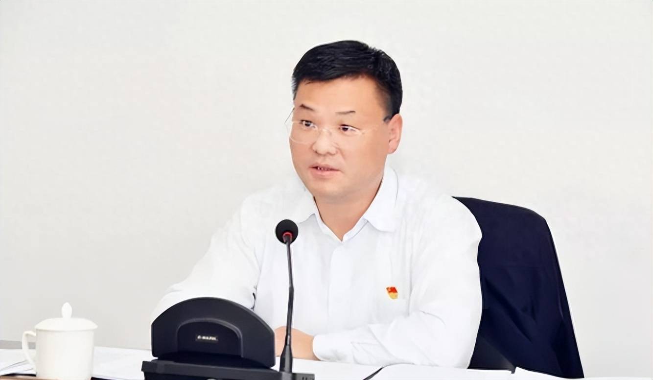 "70后"的她任直辖市区长_魏东_上海市_王靖