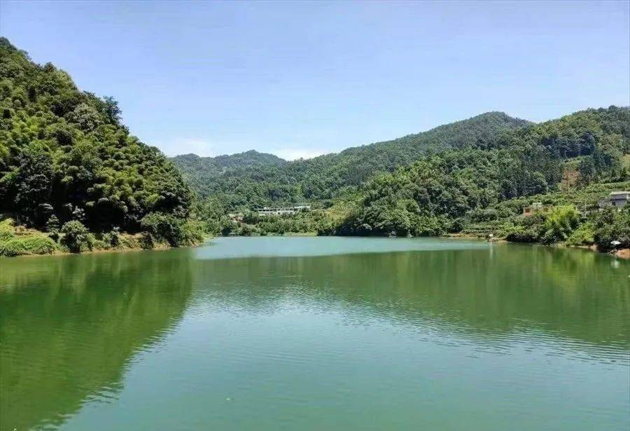 盐津:当好生态卫士 守护绿水青山_盐津县_保护_公安局